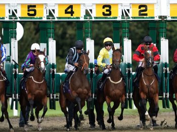 Horse Racing Tips and Tricks Review
